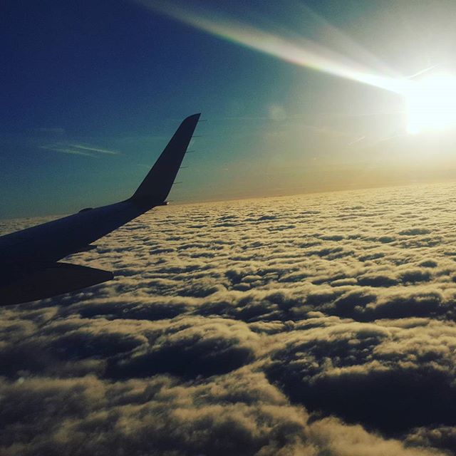 17819115_758932624287550_7276735709749182464_n