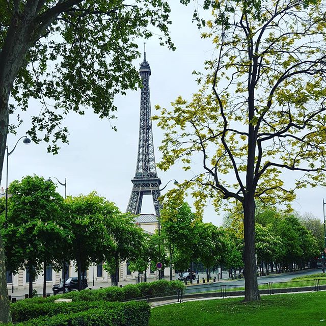 18094903_1825176731067012_8254456341481914368_n