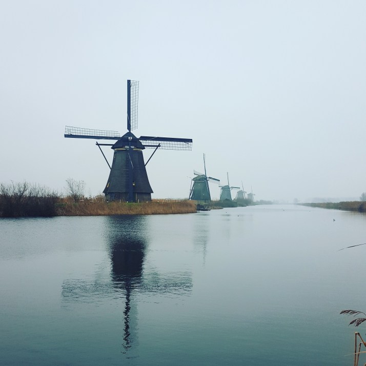 IMG_20170101_162943_410