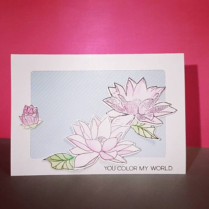 18809239_111763412746292_4631556620197822464_n