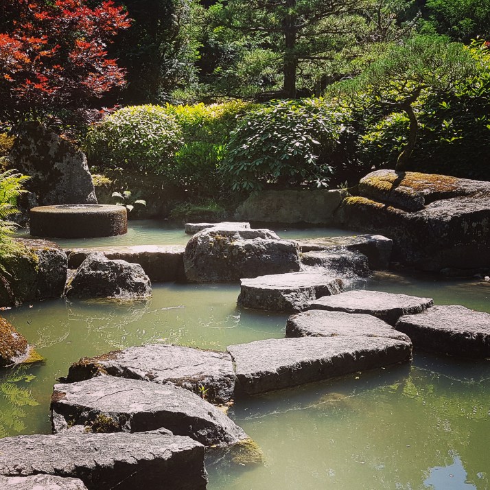 IMG_20170618_141329_781